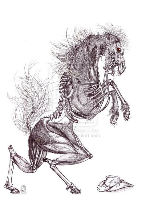 Skeleton horse Horror Horse Art, Creepy Horse Art, Skeleton Horse Fantasy Art, Horse Skull Art, Skeleton Horse Art, Creepy Animal Drawings, Monster Sketch Dark, Horse Skeleton Drawing, Skeleton Horse Tattoo