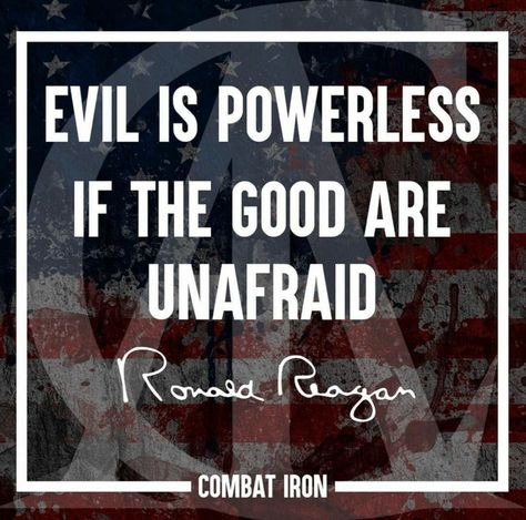 Stay strong my Christian friends. Good will prevail, no matter how bad things may seem. God is, and always will be in control. His will cannot be thwarted. #godwins #unafraid Prevail Quotes, Evil Will Not Prevail Quotes, Evil Never Wins Quotes, Evil Is Powerless If The Good Are Unafraid, So Much Evil In The World Quotes, Overcome Evil With Good Quotes, Overcome Evil With Good, Love My Wife Quotes, Wife Quotes