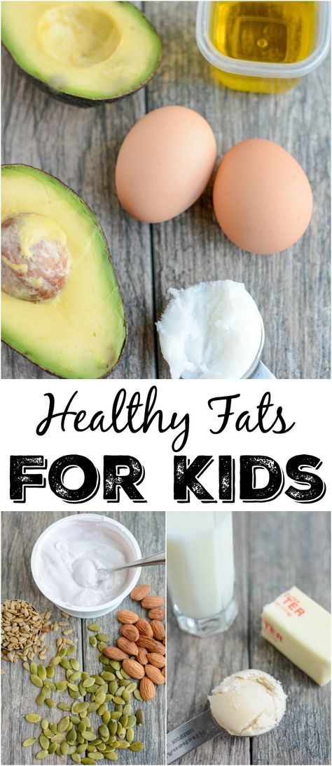 High Fat Foods For Toddlers, High Fat Snacks For Kids, High Fat Toddler Food, Healthy Fats For Toddlers, Healthy Fats List, Low Carb Snack, High Fat Foods, Fat Foods, Low Fat Diets