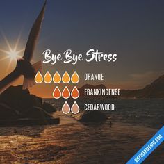 Bye Bye Stress - Essential Oil Diffuser Blend Lilin Aroma, Essential Oil Combinations, Doterra Essential Oils Recipes, Essential Oil Diffuser Blends Recipes, Essential Oil Remedy, Young Living Essential Oils Recipes, Essential Oils Guide, Essential Oil Diffuser Recipes, Yl Essential Oils