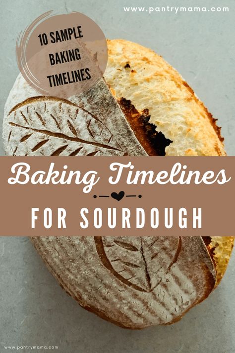 Bread Beginner, Bake Sourdough Bread, Easy Sourdough Bread Recipe, Baking Sourdough, Making Sourdough Bread, Dough Starter, Sourdough Recipe, Oven Temperature, Beginner Recipes