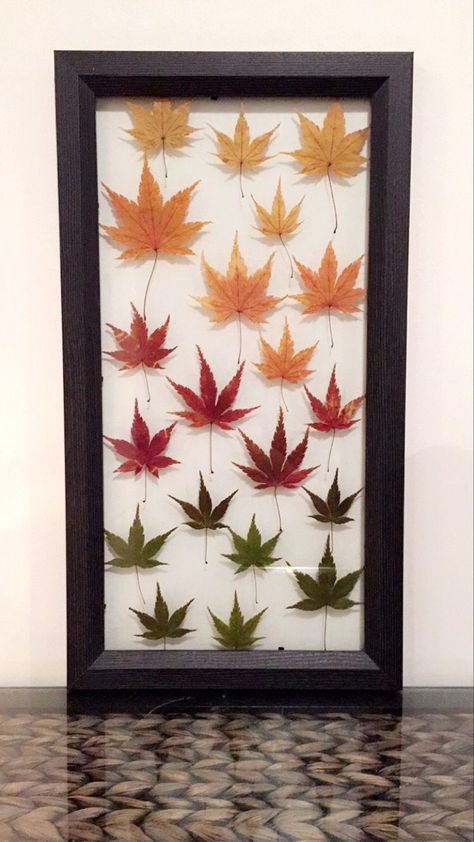 Preserved Leaves, Maple Leaf Art, Dry Leaf Art, Pressed Flowers Diy, Autumn Leaves Art, Pressed Flower Crafts, Flower Press, Leaves Art, Christmas Centerpieces Diy