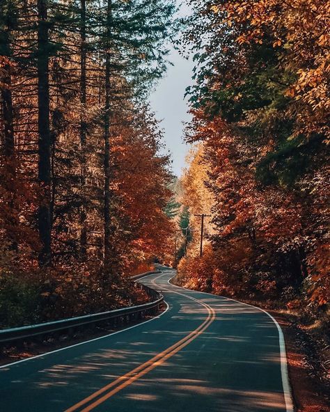 Autumn Road Trip, Pnw Aesthetic, Fall Traditions, Autumn Woods, Mountain Aesthetic, Fall Road Trip, Wallpaper Landscape, Iphone Wallpaper Landscape, Theme Pictures