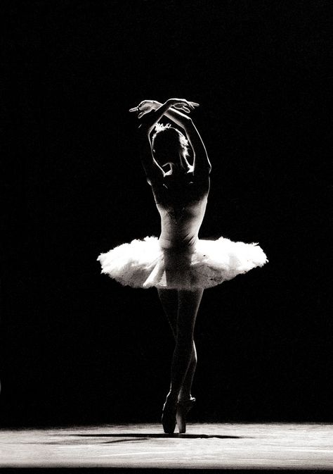 Art Ballet, Dance Magazine, White Tutu, Ballet Poses, Dance Like No One Is Watching, Ballet Art, Ballet Theater, Ballet Photos, Fred Astaire