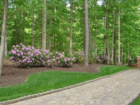 Driveway Through Woods, Hill Driveway Ideas, Creekside Landscaping, Circular Courtyard, Driveway Drainage, Estate Entrance, Landscaping Driveway, Awesome Backyards, Driveway Apron