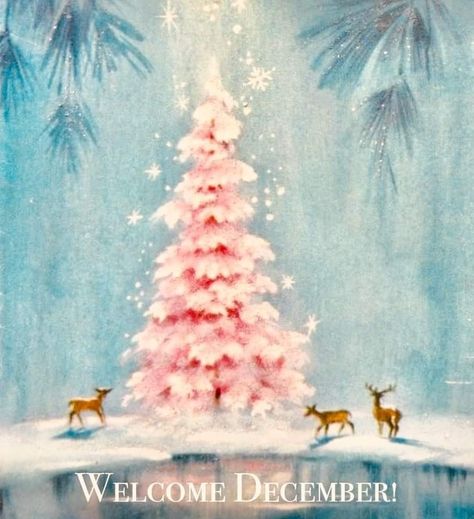 A Pink Christmas, Shabby Christmas, Pink Xmas, Pink Tree, Vintage Christmas Images, Pink Trees, Pink Christmas Tree, Old Christmas, Old Fashioned Christmas