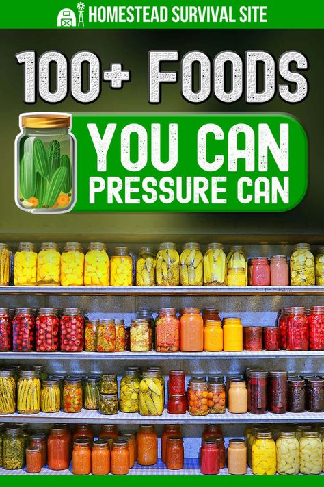 Pressure Canner Recipes, Electric Pressure Canner, Easy Canning, Pressure Canning Recipes, Home Canning Recipes, Canning Vegetables, Canning Food Preservation, Canning Supplies, Water Bath Canning