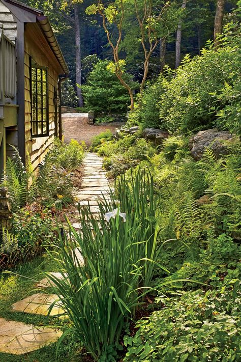 Chakra Garden, Tanning Pool, Stone Walkways, Rockery Garden, Highlands North Carolina, Fern Garden, Garden Details, Alex Smith, Garden Paradise