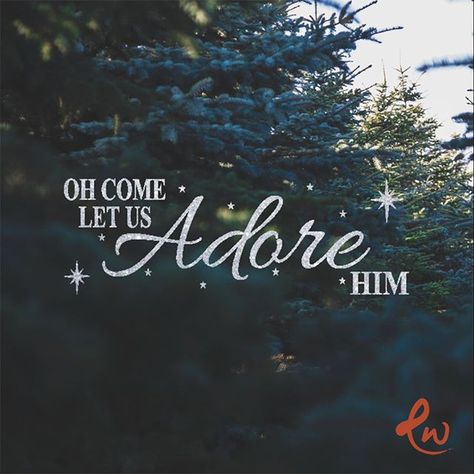 Adore Him. . . . #Tulsa #BrokenArrow #Bixby #Jenks #Owasso #Glenpool #Mounds #SouthTulsa #Oklahoma #TulsaOK #Bible #votd #VerseOfTheDay #Prayer #BibleStudy #JesusChrist #Christian #Tulsa_Oklahoma  #EastwoodTulsa #Christmas Come Let Us Adore Him, Christmas Graphics, Christmas Nativity, Baptist Church, Verse Of The Day, Christmas Wallpaper, Free Christmas, Good People, Oklahoma