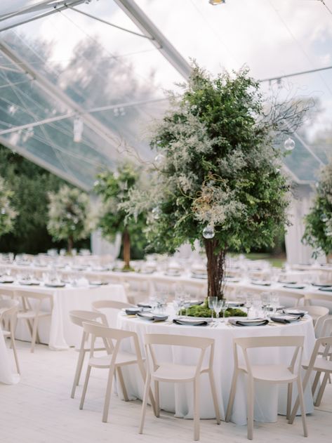 This couple said I do under cascading Oak Trees via Magnolia Rouge Trees In Wedding Reception, Menu Inspiration, Tablescape Inspiration, South Carolina Wedding, Photo Awards, Tree Images, Oak Trees, Nicholas Sparks, Carolina Wedding