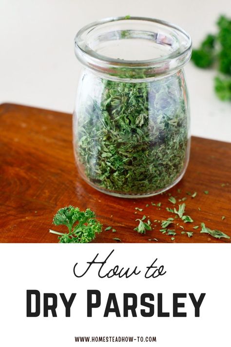 Learn how to dry parsley easily at home to preserve its fresh flavor for cooking year-round. #DryingHerbs #Parsley #HerbPreservation #CookingTips #KitchenHacks Preserving Fresh Parsley, How To Preserve Parsley, How To Dry Parsley, Preserving Parsley, How To Dry Herbs, Drying Parsley, Home Herb Garden, Grow Parsley, Diy Homesteading