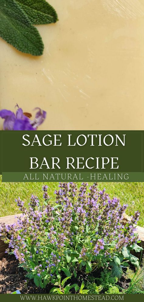 This recipe for an an all natural healing sage herbal lotion bar is so easy and makes the best lotion body bar from sage. These lotion bars are great for dry skin, irritated skin or itchy skin and good for all skin types. The sage herbal lotion bar can be used as massage bars for rough elbows and knees and do not have a greasy feel. You just rub the lotion bar on your skin for a super easy application. Apple Blossom Recipe, Lotion Bars Recipe, Herbal Remedies Recipes, Herbal Salves, Salve Recipes, Sage Plant, How To Dry Sage, Homemade Shampoo, Sage Essential Oil