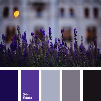 In this gamma shades of dark blue, gray-blue and purple-black create an atmosphere of twilight, diffused light. This is the palette of a winter evening. Th. Violet Color Palette, Flat Bedroom, In Color Balance, Winter Wedding Color Palette, Shades Of Dark Blue, Seeds Color, Color Palette Ideas, Grey Palette, Purple Color Palettes