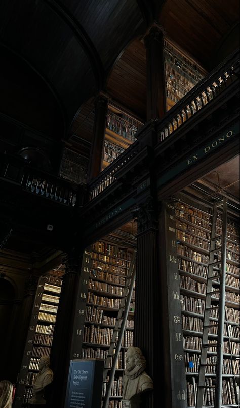 #aesthetic #darkacademia #libraries #europe Rainy Library Aesthetic, Quiet Library Aesthetic, Library Aesthetic Photos, Large Library Aesthetic, Fancy Library Aesthetic, Grand Library Aesthetic, Haunted Library Aesthetic, Library Dark Aesthetic, Big Library Aesthetic