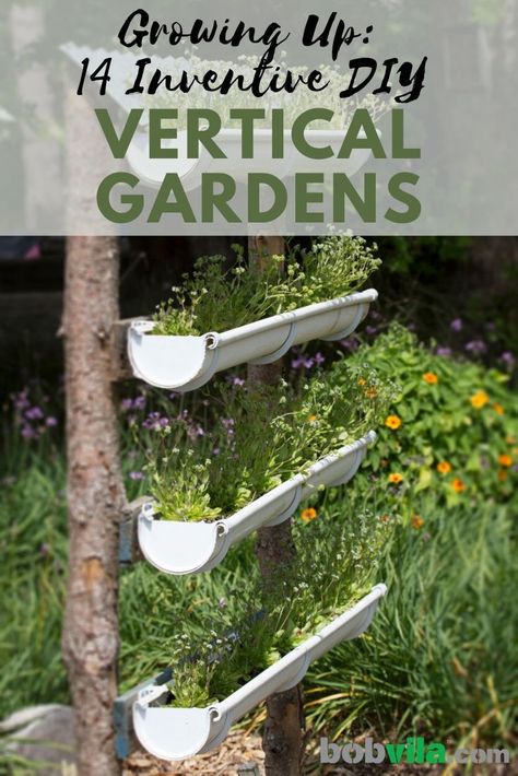 Start a garden outdoors even if you don't have a yard or the space. Check out these creative vertical garden DIY ideas. | Growing Up: 14 Inventive DIY Vertical Gardens Vertical Planting Ideas, Medicinal Flowers, Dirt Therapy, Backyard Planters, Vertical Planting, Vertical Garden Plants, Succulent Frame, Cedar Posts, Vertical Garden Design