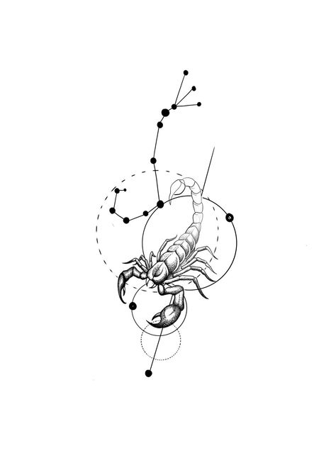 Tattoo Ideas Scorpio, Scorpio Tattoo Design, Scorpion Tattoo Ideas, Scorpio Zodiac Sign Tattoo, Scorpion Tattoo Design, Scorpio Constellation Tattoos, Scorpio Zodiac Tattoos, Word Tattoo Ideas, Half Sleeve Tattoo Stencils