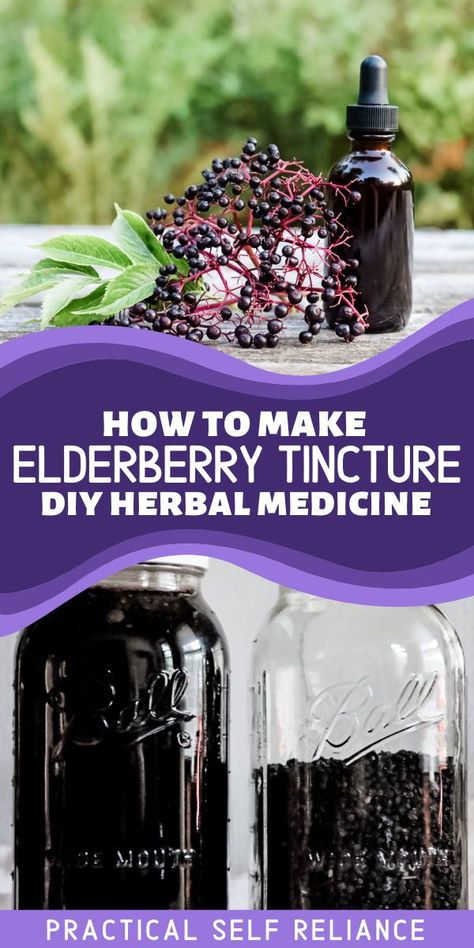 Elderberry Tincture, Herb Medicine, Tinctures Recipes, Elderberry Syrup Recipe, Elderberry Recipes, Herbal Medicine Recipes, Herbal Remedies Recipes, Herbal Tinctures, Herbal Recipes