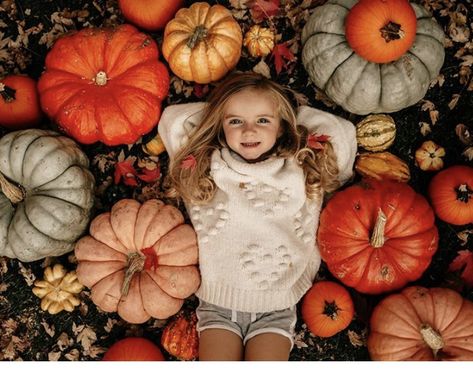 2 Year Fall Photos, Fall Photos Inspiration, Toddler In Pumpkin Photo, Unique Fall Mini Session Ideas, Toddler Girl Fall Photoshooting Ideas, 9 Month Halloween Photoshoot, Fall Photoshoot With Pumpkins, Pumpkin Minis Photoshoot, Preschool Fall Photos