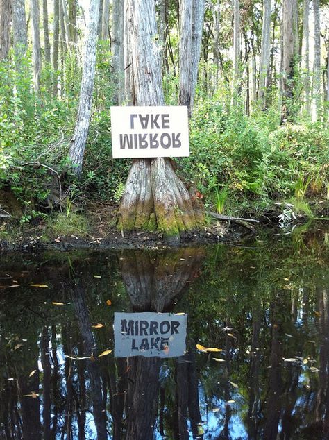 "Mirror Lake - *Okefenokee Swamp, Georgia*"  |Photograph by LoriRandallStradtman (Lori Randall Stradtman) - July 27 2010|'h4d'121031 Okefenokee Swamp, North Florida, Interesting Pictures, Intresting Facts, Mirror Lake, Lake Signs, Winding Road, Travel Stuff, Trip Ideas