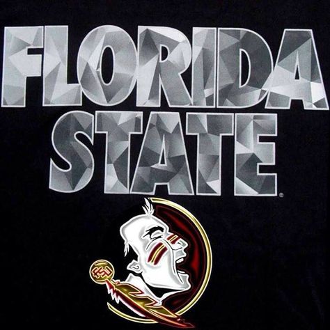 Florida State Fsu Seminoles Football, Western Wallpapers, Florida State Seminoles Football, Seminoles Football, Fsu Seminoles, Basketball Art, Florida State University, Florida State Seminoles, Football Program