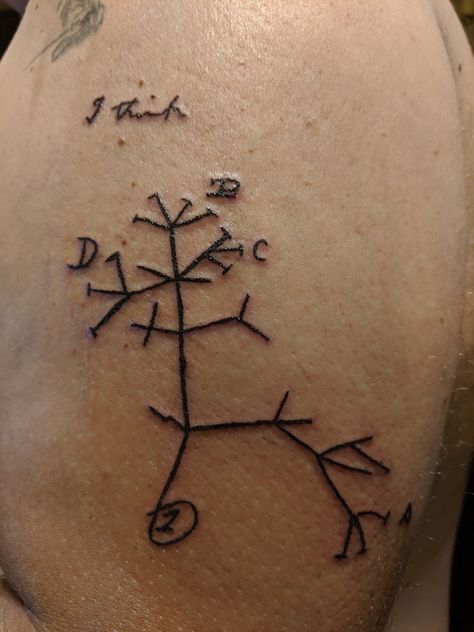 Biology Tattoo Ideas, Biology Tattoos, Biology Tattoo, Drawn Tree, Tattoo Board, Epic Tattoo, Symbol Tattoos, My Bf, Charles Darwin