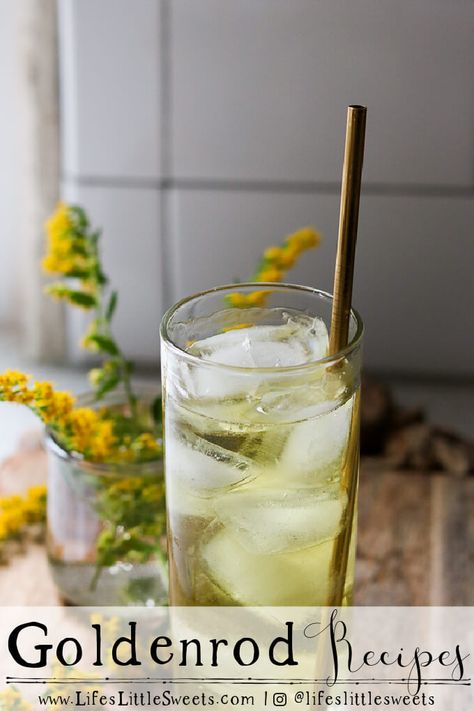 Goldenrod Recipes - Here is a list of recipes on the blog made with the leaves and flowers of the Goldenrod plant (Solidago). #goldenrod #recipes #recipelist #foragedfood #wildfood #edibleflowers #flowers #Fallflowers #lateSummer #Autumnflowers #forage #Solidago Goldenrod Recipe, Best Non Alcoholic Drinks, Eco Food, Cold Tea, Roasted Radishes, Simple Syrup Recipes, Foraged Food, Iced Tea Recipes, Easy Drink Recipes