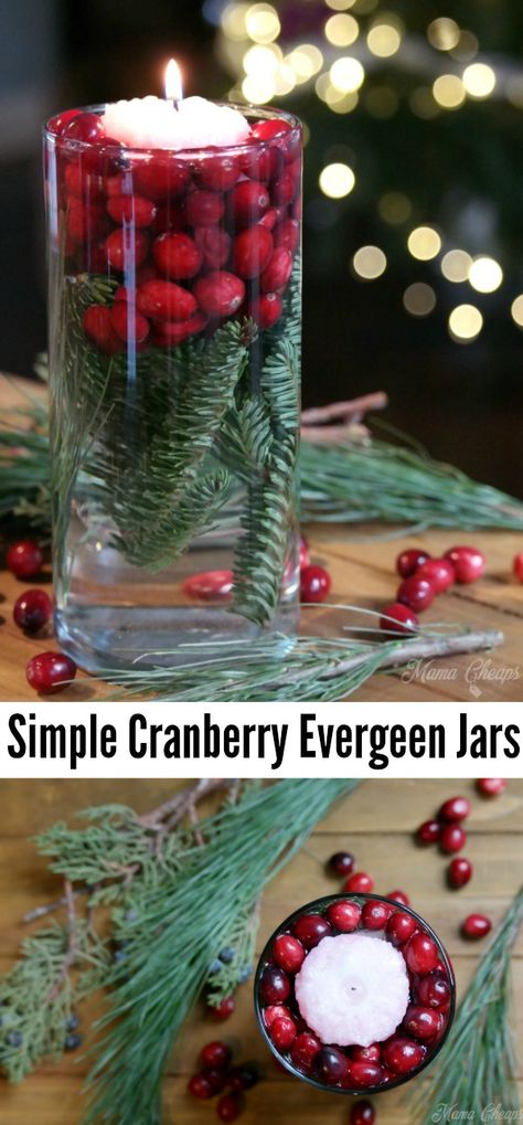 We're in love with this Simple Cranberry Evergreen Jars Holiday DIY Decor! See how to make them here: https://www.mamacheaps.com/2017/12/cranberry-evergreen-jars.html Cranberry Decor, Cranberries Decor, Holiday Diy Decor, Cranberry Centerpiece, Decor Jars, Catering Decor, Christmas Banquet, Medieval Theme, Banquet Decor