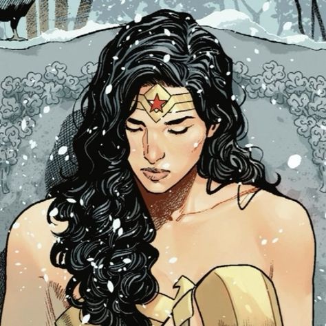 Wonder Woman Short Hair, Diana Prince Comic, Themyscira Aesthetic, Wonder Woman Pfp, Ghost Female, Diana Prince Wonder Woman, Filler Pics, Dc Women, Star Fire