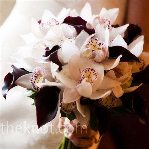 dark purple calla lilies with white cymbidium orchids Purple Black Wedding, Lilies Bouquet, White Orchid Bouquet, Black Wedding Flowers, Cala Lilies, Black Calla Lily, Calla Lily Bouquet Wedding, Purple Calla Lilies, Calla Lily Wedding