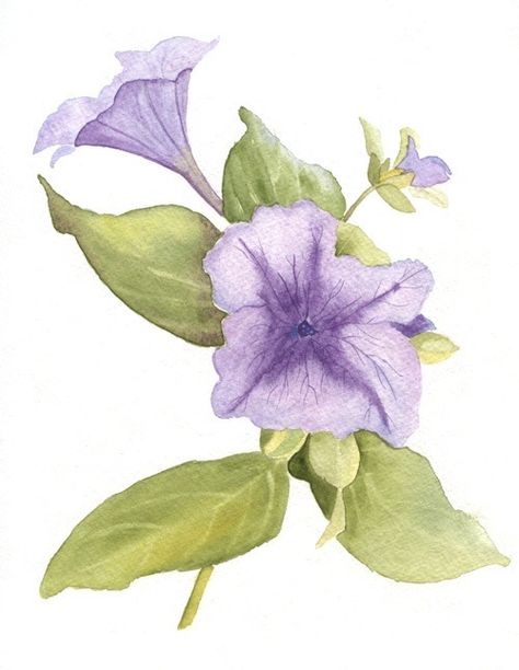 Petunia Watercolor, Botanical Sketches, Flower Quilts, Hand Knit Hat, Beautiful Watercolor, Water Colour, Petunias, Flowers And Leaves, Knit Hat