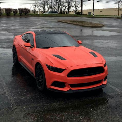 Mustang Wrap Ideas, Mustang 5.0, Wrapped Mustang, 2016 Mustang Gt, Mustang 2016, New Tesla Roadster, Ford Mustang 2016, Bugatti Centodieci, 2016 Mustang