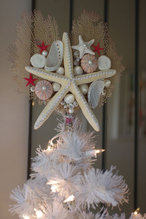 Unusual Christmas Tree Toppers, Best Christmas Tree Toppers, Christmas Tree Topper Ideas, Sea Shell Christmas, Shell Christmas Ornaments, Beachy Christmas Tree, Tree Topper Ideas, Starfish Tree Topper, Christmas Tree Toppers Unique