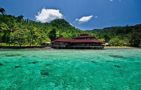 Living Overseas, North Sulawesi, Dive Resort, 3dprinting Design, World Cities, Day Trading, Photo Essay, Travel News, Where To Go