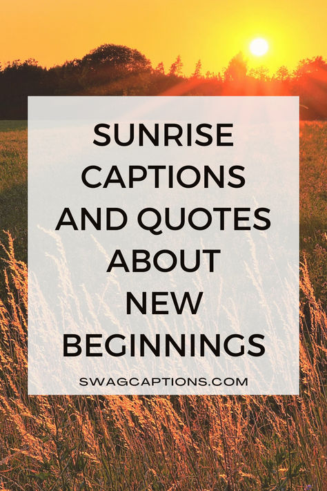 Embrace the dawn of a new chapter with our collection of 'Sunrise Captions and Quotes About New Beginnings.' Illuminate your journey with words that capture the beauty of fresh starts and the promise of a brand-new day.