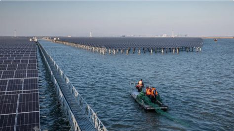 Chinese fish pond hosts 550 MW solar farm – pv magazine International Chinese Fish, Solar Farm, Solar Module, Fish Farming, Fish Pond, Energy Storage, Green Energy, Cool Things To Make, Solar