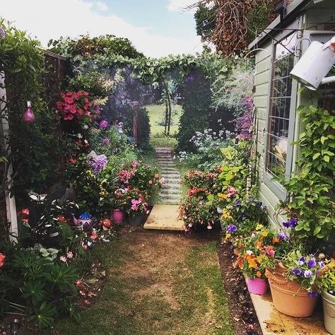 Woman ‘doubles the size’ of her garden using a FAKE background - and people are totally fooled Shower Curtain Wall Art, Outdoor Curtains For Patio, Garden Shower, Outdoor Curtains, Shower Curtain Decor, Hanging Garden, Patterned Shower Curtain, Back Gardens, Garden Fencing