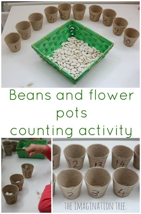 Beans and flower pots counting activity Early Years Maths, Preschool Math Games, Preschool Spring, Preschool Garden, Plants Unit, Imagination Tree, Counting Activity, Eyfs Activities, Garden Activities