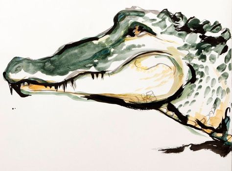 Inslee Haynes, Alligators Art, Florida Art, Crocodiles, Watercolor Animals, Book Page, Beach Art, Art Plastique, Animal Paintings