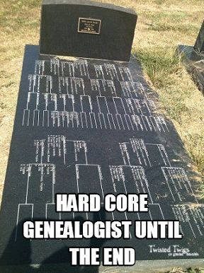 Genealogy Quotes, Genealogy Humor, Genealogy Ideas, Pedigree Chart, Family Tree Photo, Genealogy Help, Family Tree Research, Family Tree Genealogy, Genealogy Resources