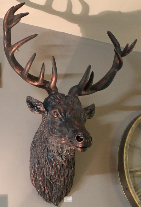 Large Wall Mounted Stags Head ~ Antique Bronze Effect Stag Wall Sculpture: Amazon.co.uk: Kitchen & Home Deer Head Wall Mount, Stags Head, Elk Head, Deer Antler Decor, Animal Head Wall, Deer Buck, Elephant Ornament, Cement Art, Stag Head