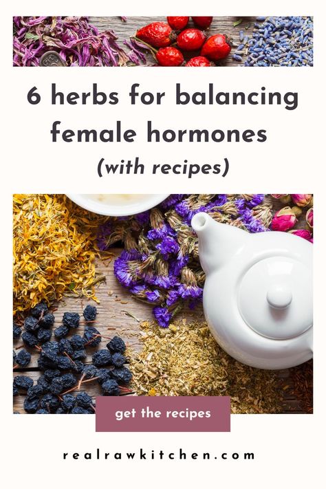 These herbs for balancing female hormones come with a whole bunch of other benefits. I like using rose, schisandra berry, black cohosh, nettle, peony, and vitex to regulate my hormones and soothe menstrual cramps. These herbs can also help with fertility! Here’s how to incorporate them into your monthly cycle with 6 delicious recipes. Black Cohosh Benefits, Hormone Balancing Tea, Herbs For Fertility, Herb Tinctures, Benefits Of Berries, Monthly Cycle, Healing Tea, How To Regulate Hormones, Healthy Hormones