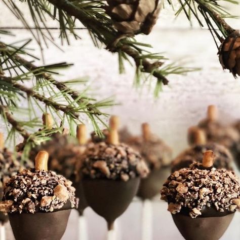 Lisa Troy | Lettered By Lisa on Instagram: "When a client asks for woodland themed cake pops for a baby shower, my answer is.....YES! These acorns may look nutty but they’re actually moist devil’s food cake pops with a milk chocolate dip and yummy toffee topping! I love being creative in my orders and making things I haven’t before. Are you or someone you know looking for a unique treat for a special event? Whether it’s unique shapes, crazy themes, or fun flavors- I’d love to help! :) • • • #cakepops #acorn #cakepop #cakepoppin #dessert #themedesserts #woodland #woodlandbabyshower #babyshower #babyshowerideas #cakebites #cakeballs #acorncakepops #cakeonastick #babyshowerdesserts #customcakepops #yum #chocolate #letteredbylisa #acorntheme" Hunting Cake Pops, Acorn Cake Pops, Woodland Themed Cake, Gender Reveal Cake Pops, Themed Cake Pops, Mushroom Cake, Hunting Cake, Deer Cakes, Chocolate Dip