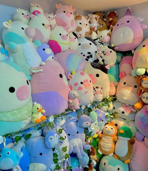 Squishmallow Storage, Stuffed Animal Displays, Cute Squishmallows, Squishmallows Collection, Squish Mallow, Squish Mellow, Squish Mallows, Backyard Birthday, Cute Squishies