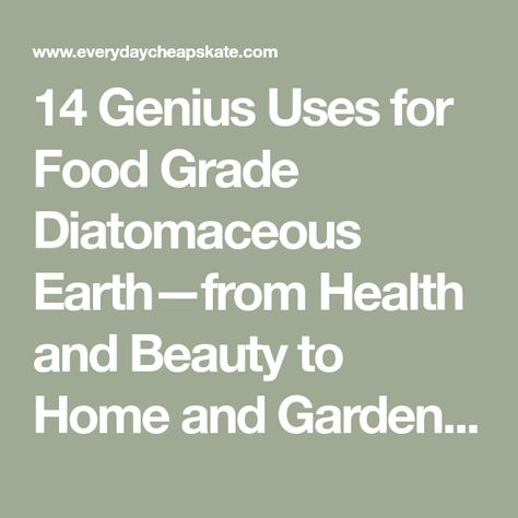 14 Genius Uses for Food Grade Diatomaceous Earth—from Health and Beauty to Home and Garden • Everyday Cheapskate Food Grade Diatomaceous Earth, Everyday Cheapskate, Earth Food, Diatomaceous Earth Food Grade, Natural Repellent, Parasite Cleanse, Homemade Deodorant, Bodies Of Water, Chicken Feed