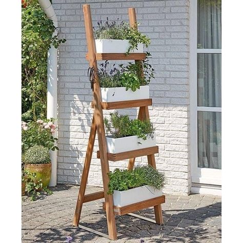 Garden Ladder Ideas, Vertical Herb Gardens, Garden Ladder, Vertical Garden Design, Vertical Gardens, Garden Types, White Planters, Terracotta Planter, Diy Desk