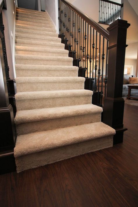 Light Beige Carpeted Staircase Beige Stairs, Stairs With Carpet, Carpeted Staircase, Internal Stairs, Carpet On Stairs, Staircase Carpet, Carpet Staircase, Wealthy Life, Staircase Railing