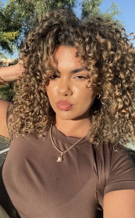 Honey Brown Highlights On Black Hair, Short Curly Hair Highlights, Honey Blonde Curly Hair, Black Hair With Brown Highlights, Biab Nail, Curly Hair Dos, Highlight Colors, Curly Highlights, Curly Color