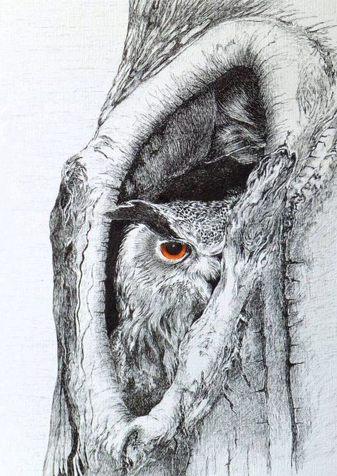 Animal Tree Drawing, Ink Drawing Tree, Owl Pen Drawing, Ink Sketch Ideas, Owl In Tree Tattoo, Animal Ink Drawing, Ink Drawings Ideas, Owl In Tree Drawing, Drawing Ideas Landscape Pencil