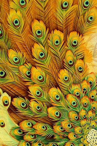 <3 Peacock Art, Peacock Feathers, Peacock Feather, Mellow Yellow, Pattern Iphone, Happy Colors, Shades Of Yellow, Cool Stuff, Bird Feathers