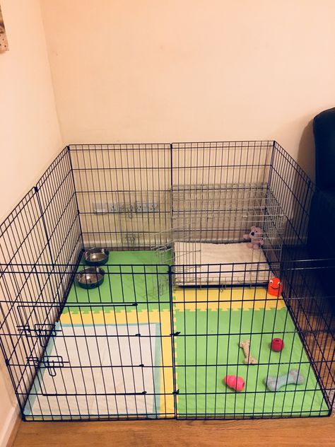 Dog playpen & Crate layout Puppy Pens Indoor, Dog Playpen Ideas, Puppy Crate Setup Playpen, Small Dog Play Area Indoor, Puppy Pen Ideas Indoor Small Space, Puppy Playpen Setup, Dog Playpen Indoor Ideas, Puppy Crate Ideas, Puppy Pen Ideas Indoor